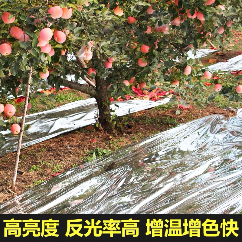 邵阳市po膜果树反光膜 - 推荐